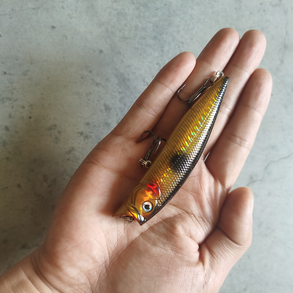 1pcs Fishing Lures High Qualit - đánh giá và giá Fishing Lure Popper