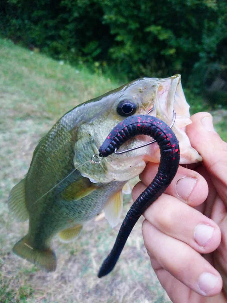 Esfishing Silicone Soft Bait T - đánh giá và giá Fishing Lure Soft Plastic